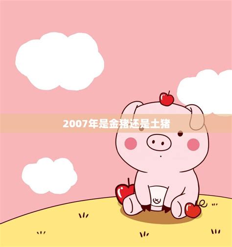 2007年是什么猪|2007年属猪是什么命 2007年出生人的命运